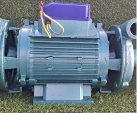 Bơm khía Đài Loan 2 đầu lớn 2HP